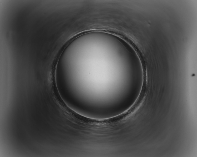 X0000088361501200705291257