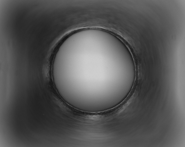 X0000088361502200705291257