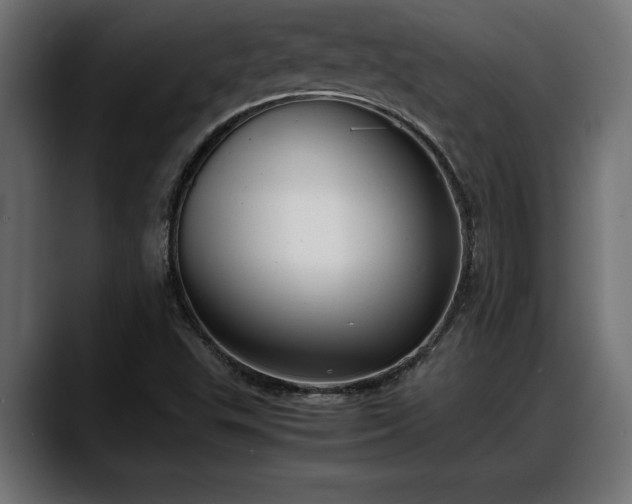 X0000088361503200705291257