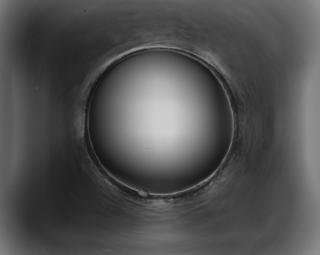 X0000088361504200705291257