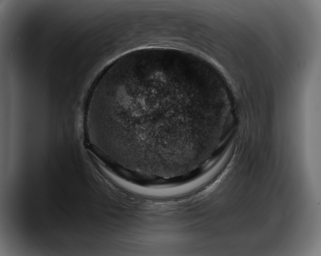 X0000088361506200705291257