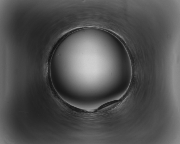 X0000088361507200705291257