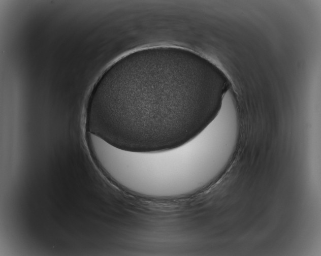 X0000088361508200705291257