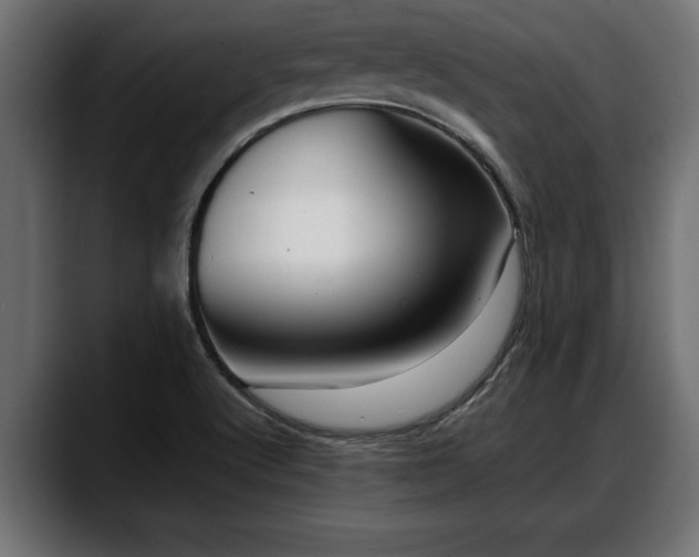 X0000088361512200705291257