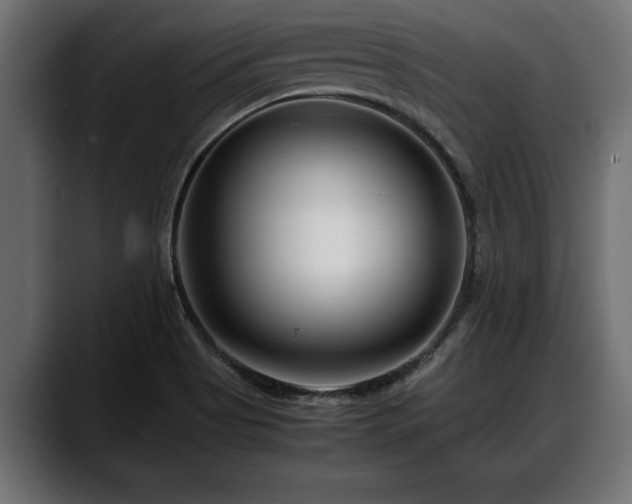 X0000088361513200705291257