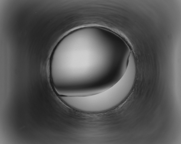 X0000088361516200705291257