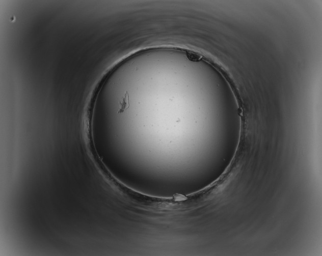 X0000088361517200705291257