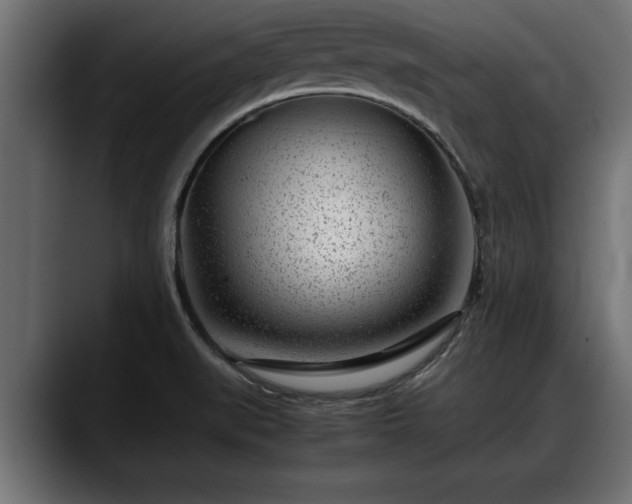 X0000088361519200705291257