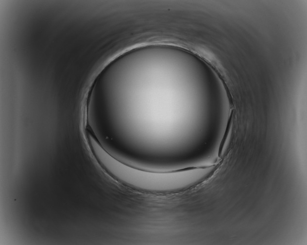 X0000088361520200705291257