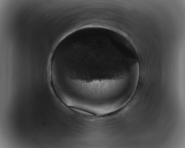 X0000088361522200705291257