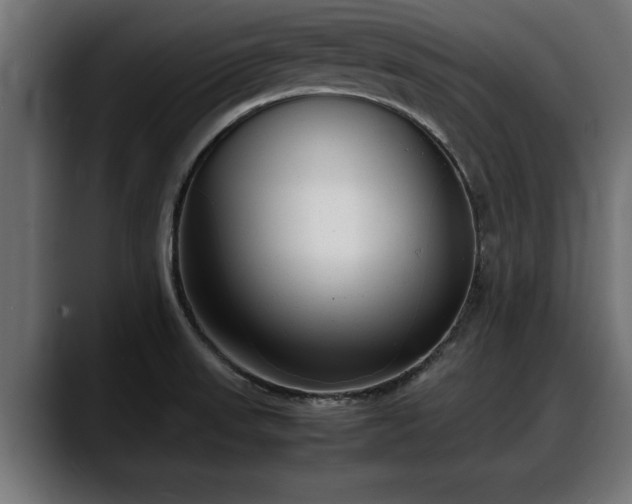 X0000088361523200705291257