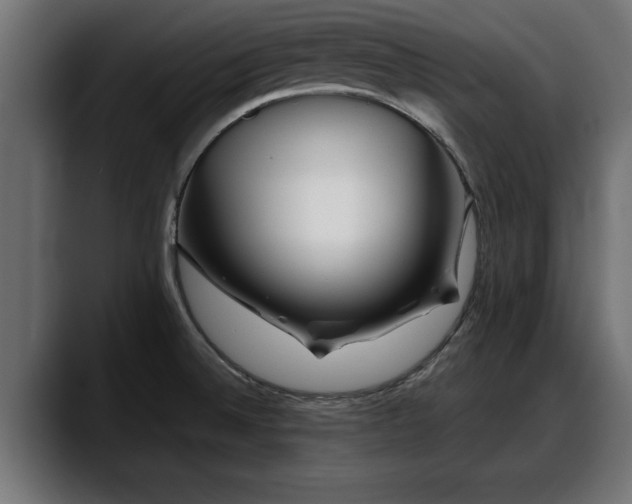 X0000088361524200705291257