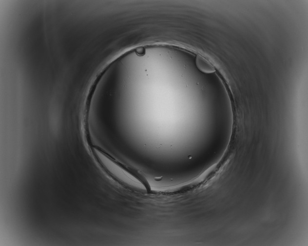 X0000088361525200705291257