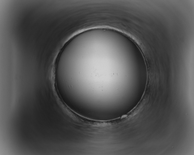 X0000088361526200705291257