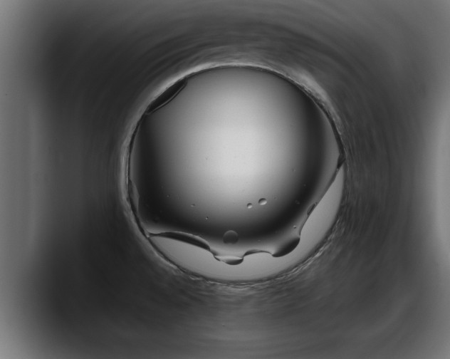 X0000088361528200705291257