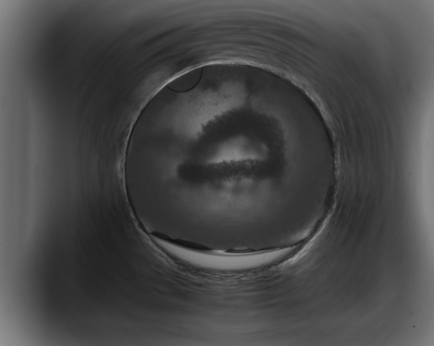 X0000088361529200705291257