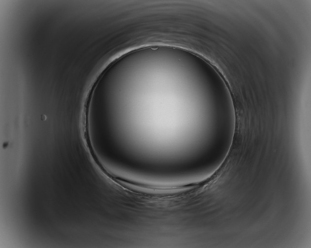 X0000088361531200705291257