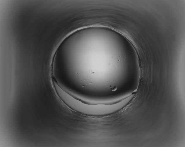 X0000088361532200705291257