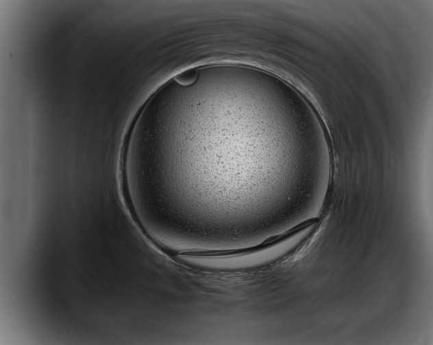 X0000088361533200705291257