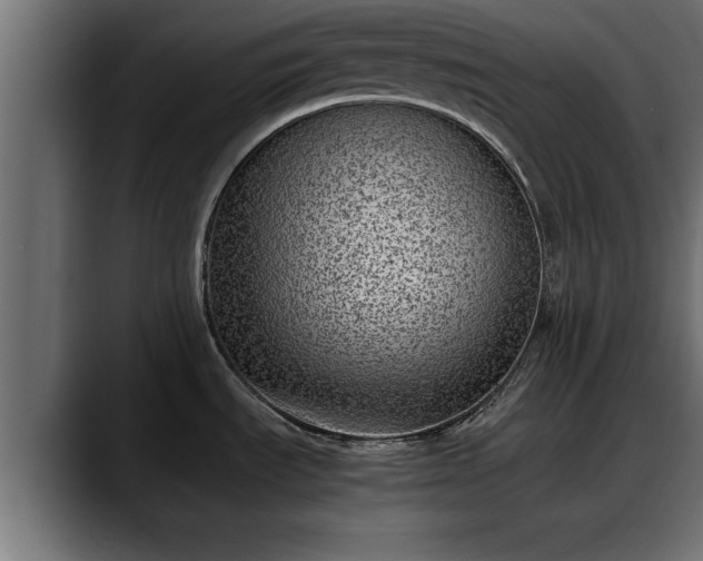 X0000088361535200705291257