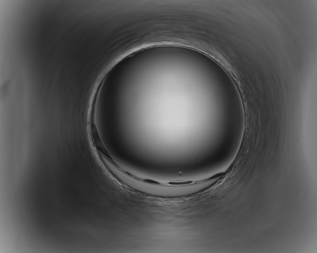 X0000088361536200705291257