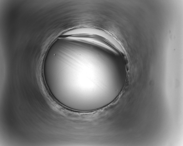 X0000088360001200706051032