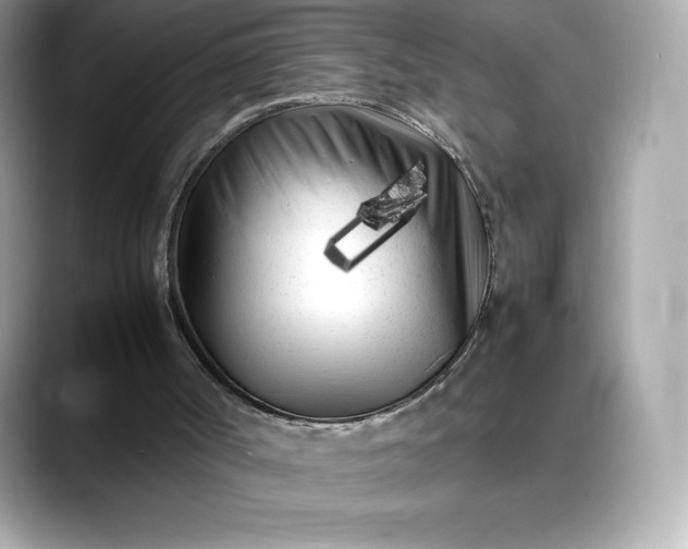 X0000088360002200706051032