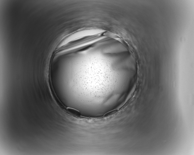 X0000088360003200706051032