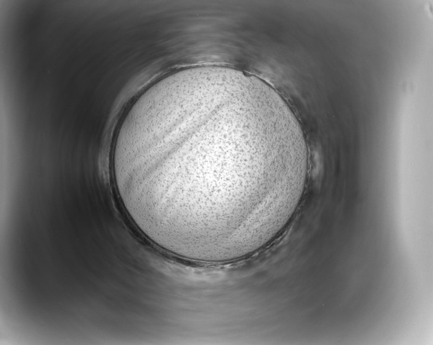 X0000088360004200706051032