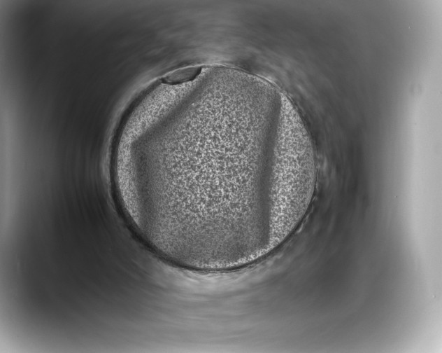 X0000088360006200706051032