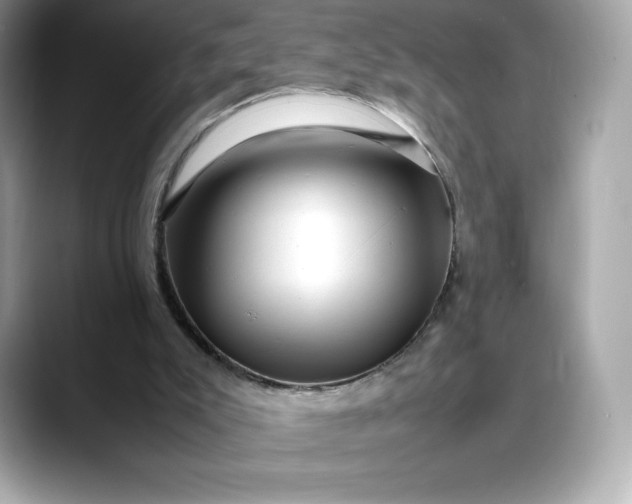 X0000088360007200706051032