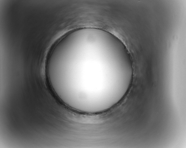 X0000088360008200706051032