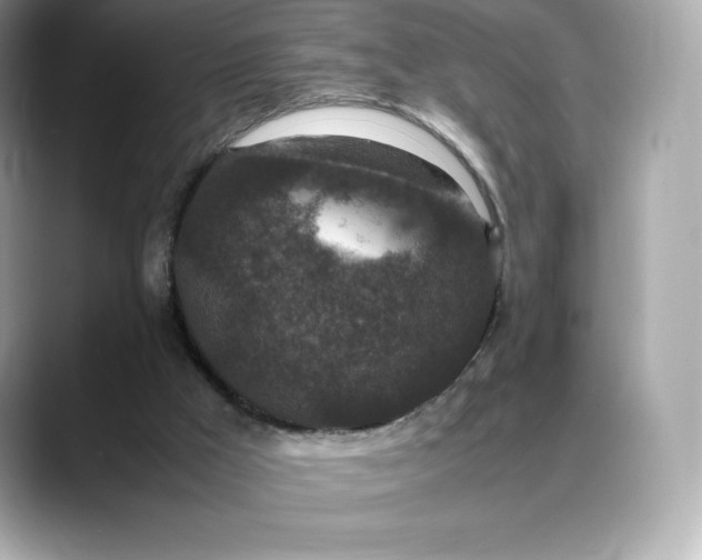 X0000088360009200706051032