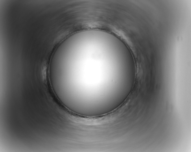 X0000088360010200706051032