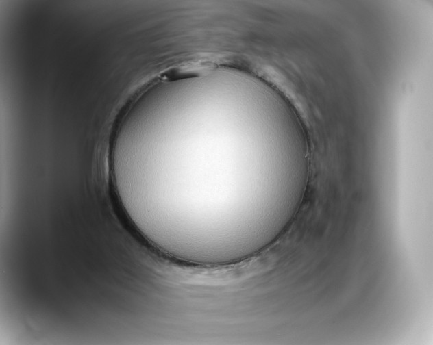 X0000088360011200706051032