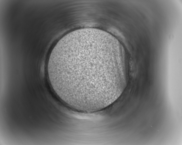 X0000088360012200706051031