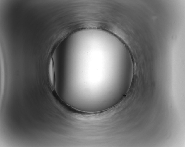 X0000088360013200706051031