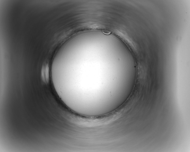 X0000088360014200706051031