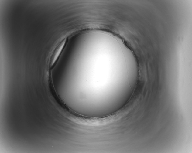 X0000088360015200706051031