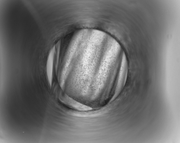 X0000088360017200706051031