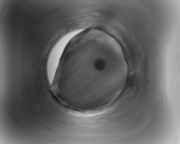 X0000088360019200706051031