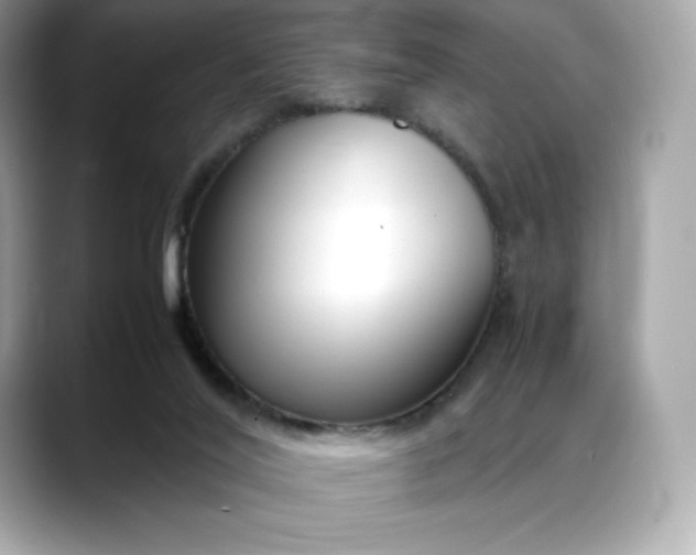 X0000088360020200706051031