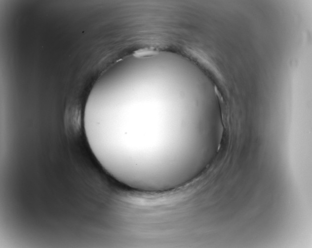 X0000088360021200706051031