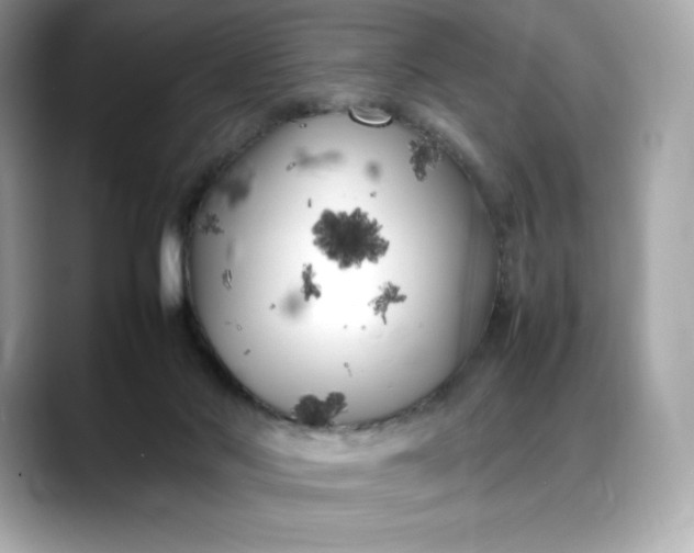 X0000088360022200706051031