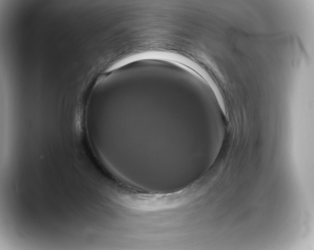 X0000088360023200706051031