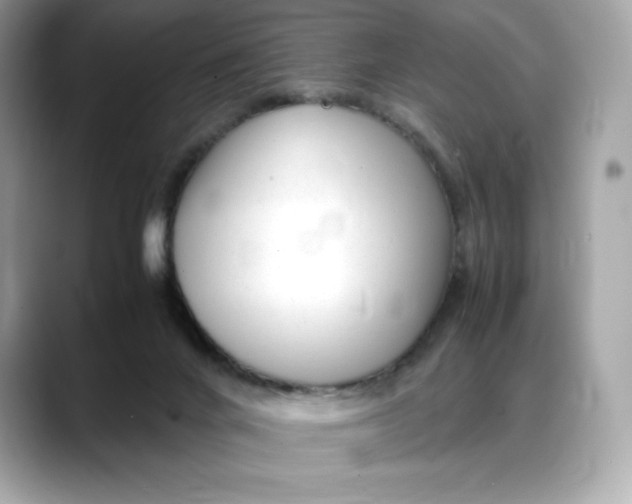 X0000088360024200706051031