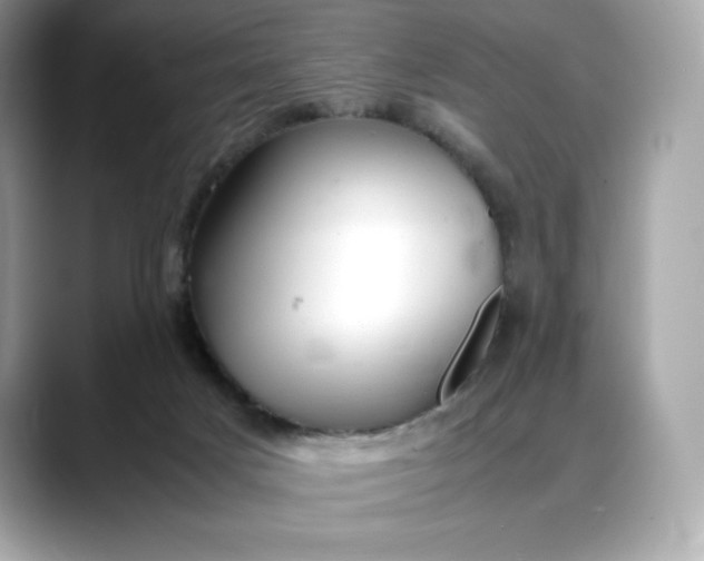 X0000088360025200706051031