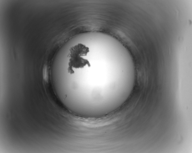 X0000088360026200706051031