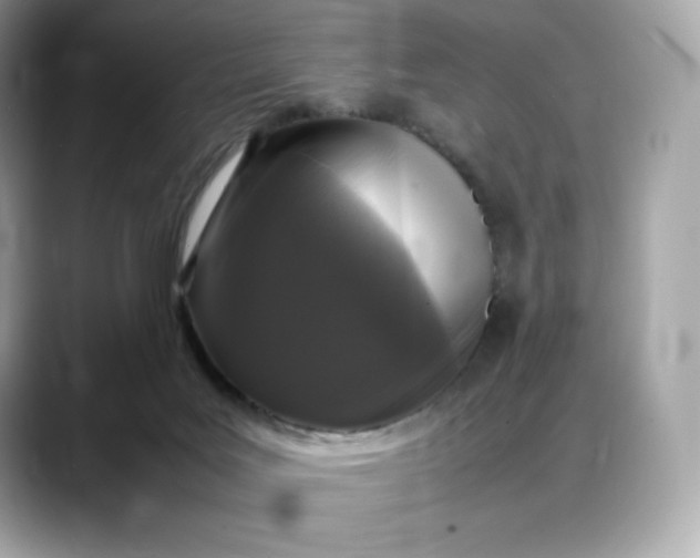 X0000088360027200706051031