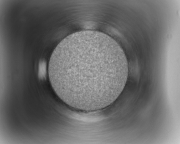 X0000088360028200706051031